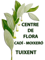 logocentre1